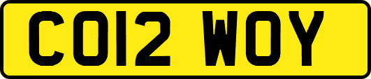CO12WOY