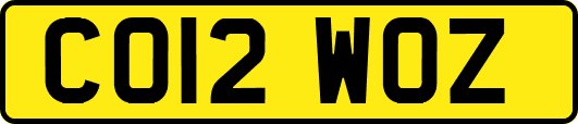 CO12WOZ