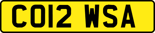 CO12WSA