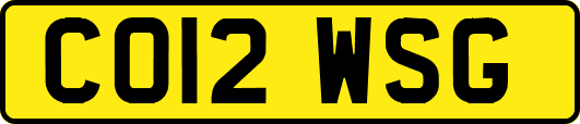 CO12WSG