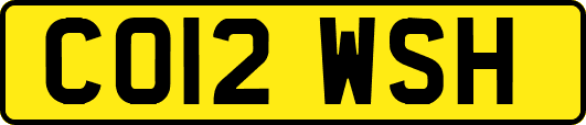 CO12WSH