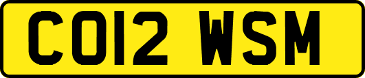 CO12WSM
