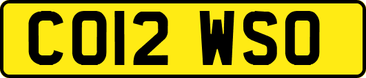 CO12WSO