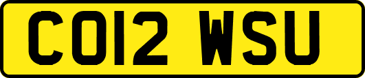CO12WSU