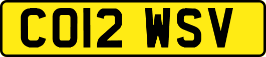 CO12WSV