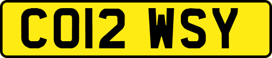 CO12WSY