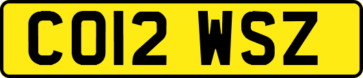 CO12WSZ