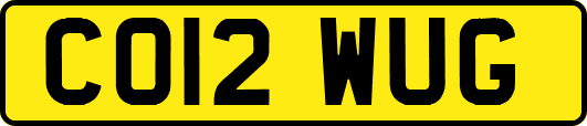 CO12WUG
