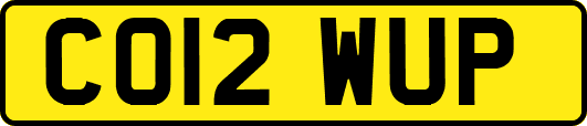 CO12WUP