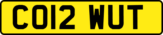 CO12WUT