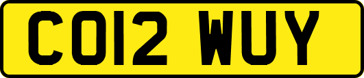 CO12WUY
