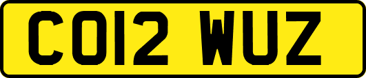 CO12WUZ