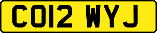 CO12WYJ