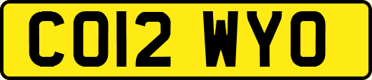CO12WYO