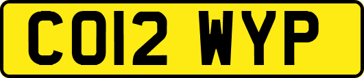 CO12WYP
