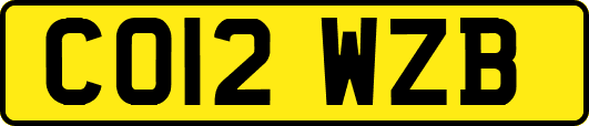 CO12WZB