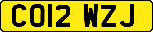 CO12WZJ
