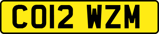CO12WZM