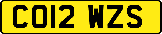 CO12WZS