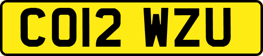 CO12WZU