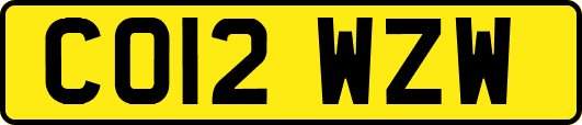 CO12WZW