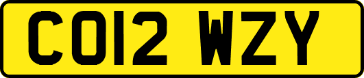 CO12WZY