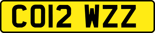 CO12WZZ
