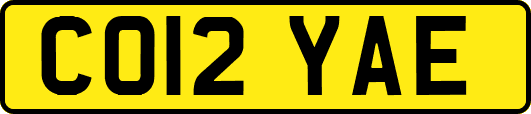 CO12YAE