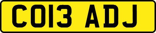 CO13ADJ