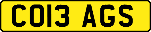 CO13AGS