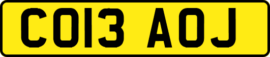 CO13AOJ