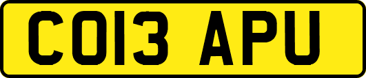 CO13APU
