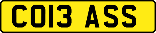 CO13ASS