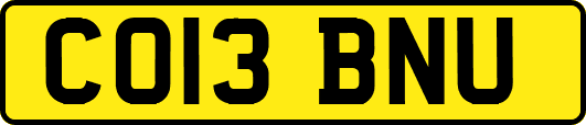 CO13BNU