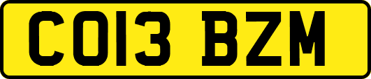 CO13BZM