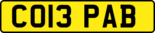 CO13PAB