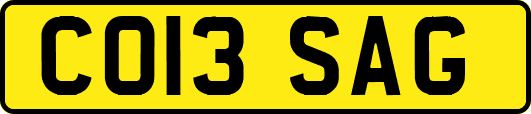 CO13SAG