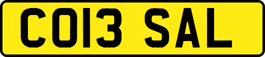 CO13SAL