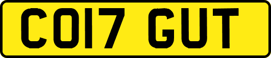 CO17GUT