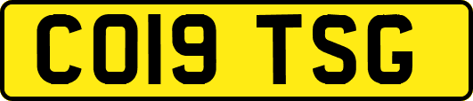 CO19TSG