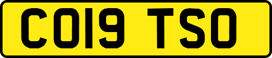 CO19TSO