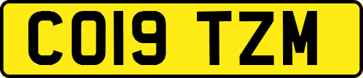 CO19TZM
