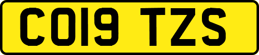 CO19TZS
