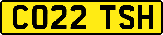 CO22TSH