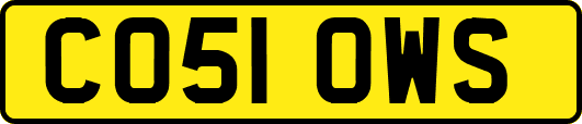 CO51OWS