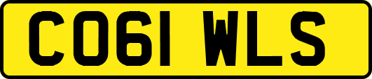 CO61WLS