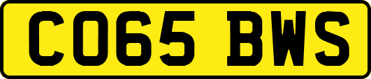 CO65BWS