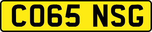 CO65NSG