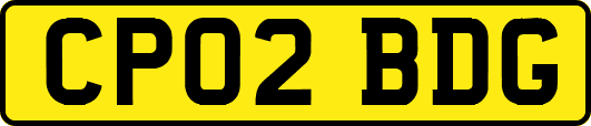 CP02BDG