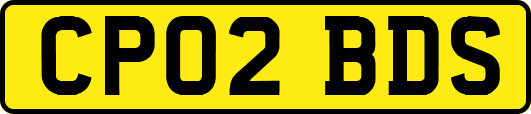 CP02BDS